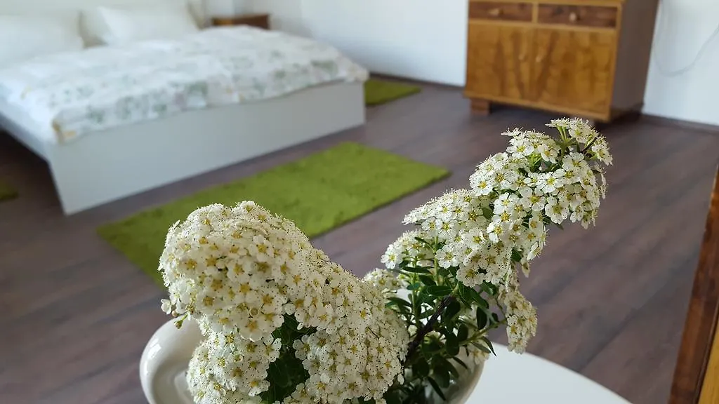 Ferienwohnung & Gaestezimmer Rixner Hilpoltstein Apartment